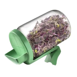 Lasinen idätysastia, Germline
