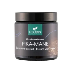 Pika-Mane, Foodin, 40 g